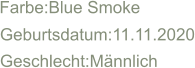 Farbe:Blue Smoke Geburtsdatum:11.11.2020 Geschlecht:Männlich